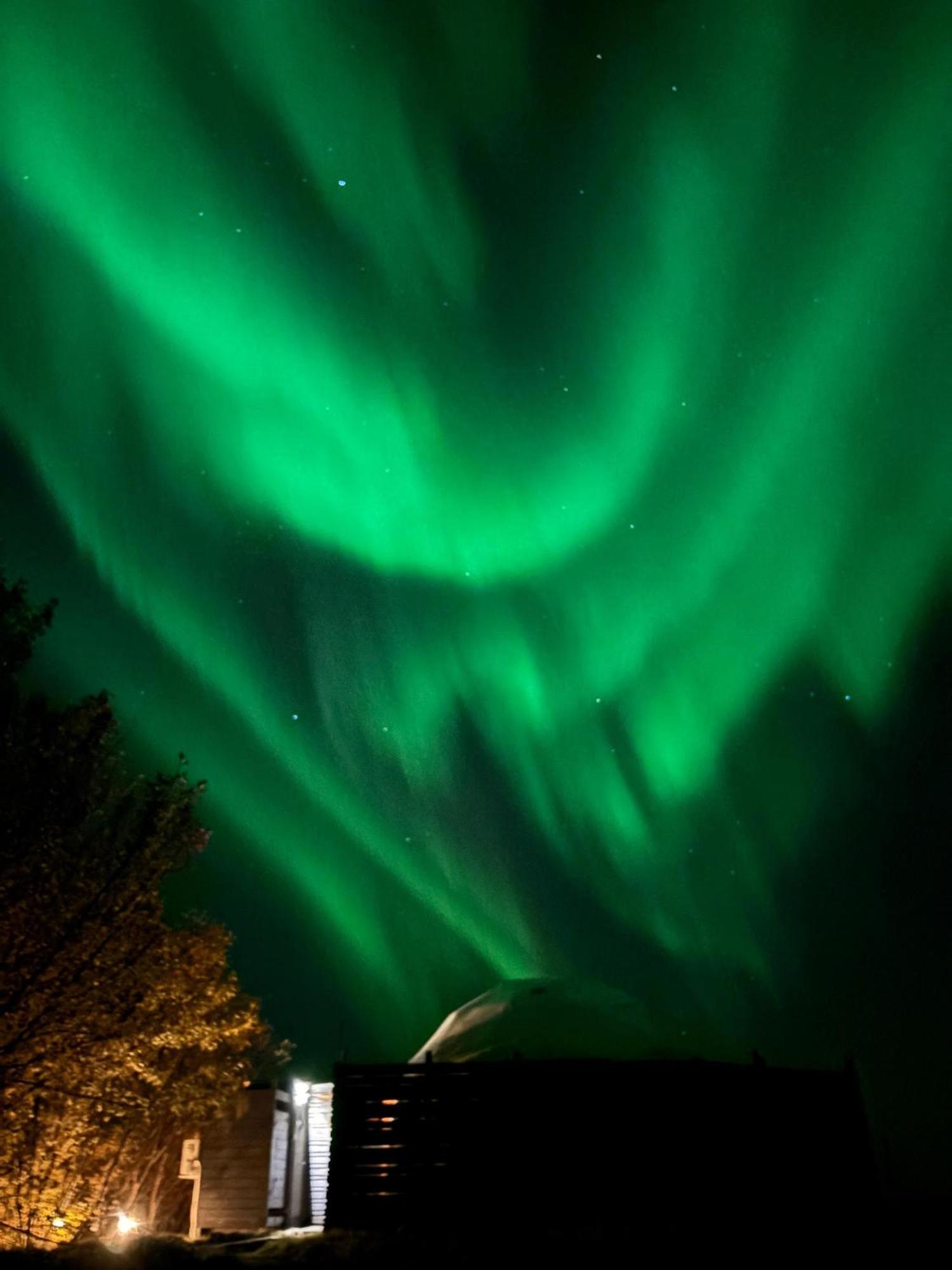 Aurora Dome - South Coast Iceland Hvolsvöllur Exterior foto
